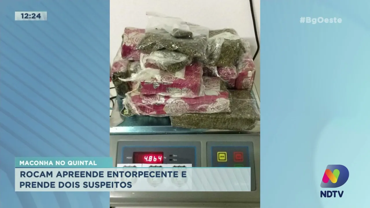 Maconha no quintal: Rocam apreende entorpecente e prende dois suspeitos em Chapecó
