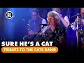 Download Lagu Tribute to The Cats Band - Sure he's a cat | TRIBUTE TO THE CATS BAND JUBILEUMCONCERT