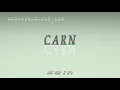 carn - pronunciation Examples in sentences and phrases