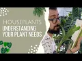 Houseplant Science | Hairy Plants | Inflorescence | Epiphytic | Botanical Names
