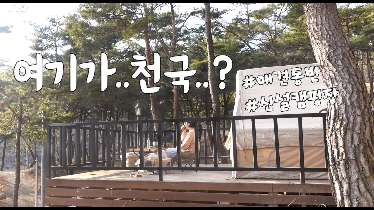 [솔로캠핑]아직 알려지지 않은 무려 14,000평 솔숲 캠핑장ㅣ애견동반 영월 캠핑장ㅣ집념의 빼로...캠핑 오랜만😍 썸네일