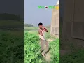Download Lagu Video | Piya Piya Karna Gori Pi Ke Liye | Sannu Kumar | Piya Piya | Maithili Song | Piya Piya 2