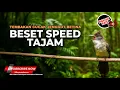 Download Lagu Masteran Cucak Jenggot Beset Mesin Jahit Speed Rapat Masteran Juwara 2025