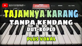 tajamnya karang tanpa kendang dut koplo plus vokal