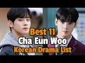 Cha Eun Woo Best 11 Korean Drama List Kdrama List Korean Series 2022 Best Kdrama