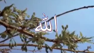 الله حي غناء عماد رامي اخراج رؤوف عبداللطيف انتاج شركة النور  حامد الطحان دندنها