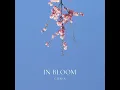In Bloom