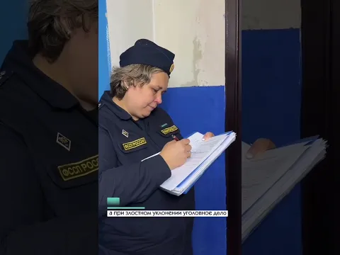 ФССП: как бороться с должниками? #приставы #казань #татарстан #фссп #алименты #должники