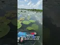 Download Lagu #mancing #tegek #ikan #air #jadul #lorenza #musik #viral #viralvideo #trending #laut