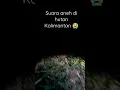 Lagu suara yang bikin merinding di hutan Kalimantan 😭