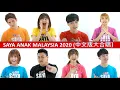 Download Lagu Saya Anak Malaysia 2020 (All-star Mandarin Version) Official MV
