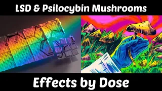Download LSD vs Psilocybin Mushrooms: Effects by Dose MP3