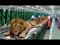 Inside the Lion Leather Factory | From Lion Skin to Luxury Products (Full Process)