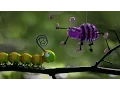 Download Lagu Caterpillar Shoes | Sweet rhyming bedtime story for kids!