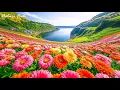 Download Lagu Zachte muziek, kalmeert het zenuwstelsel en behaagt de ziel - Helende muziek voor het hart en het...