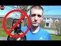 5 REAL Reasons not to get a Miniature Pinscher
