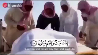 انك ميت وانهم ميتون قصص فيس بوك حالات واتساب دينيه من القران الكريم 