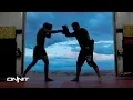 Cowboy Donald Cerrone Professional MMA Fighter Onnit Stories Presents