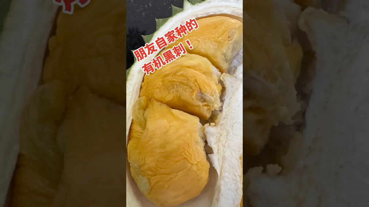 朋友自家种的有机黑刺!只送不卖,味道绝了!
