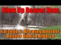 Beaver dam vs Tannerite
