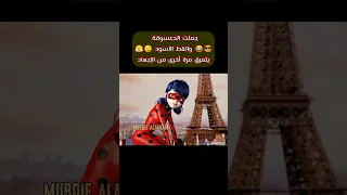 هل تعتقد حقا أن الدعسوقة هي ميراكلس الدعسوقة والقط الاسود 