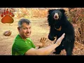 SLOTH BEAR STANDOFF