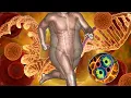 Download Lagu Extremely Powerful Fat Burn Frequency | 528 Hz | Weight Loss Alpha Waves, Burn Fat Cells