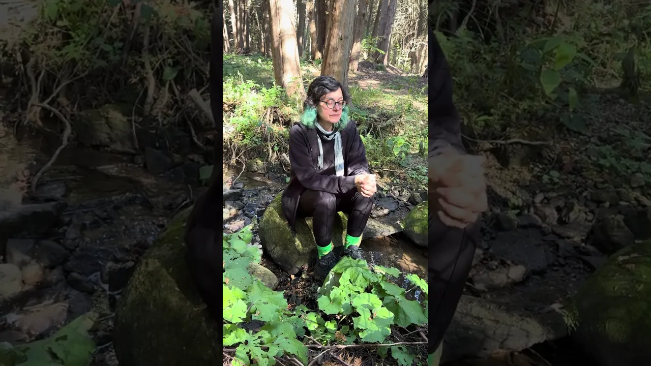 River Gorge Mediation