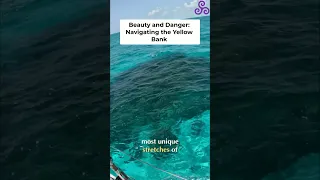 Bahamas Yellow Bank: Navigating Unbelievable Colors