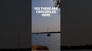 There’s crocodiles in these parts #windedvoyage #sailinglifestyle #africatravel #casamance #senegal