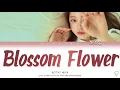 로시Rothy - 다 핀 꽃 (Blossom Flower) (Color Coded Han/Rom/Eng Lyrics)