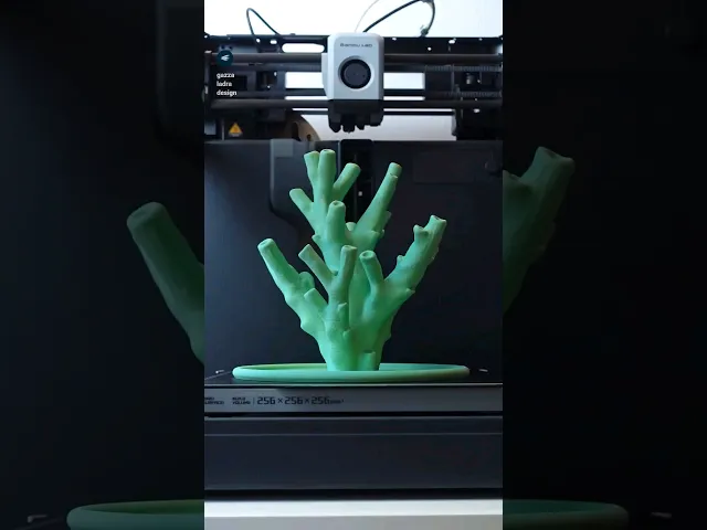 Jewelry holder “echinata coral” video thumbnail