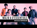 Download Lagu MALIQ \u0026 D'essentials - SETAPAK SRIWEDARI new perfomance
