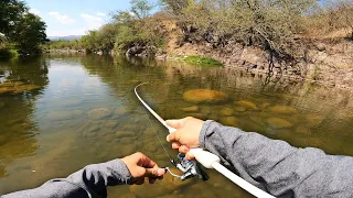 Pescando y Explorando Río lleno de Peces Exóticos (Cíclidos)