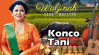 Download WALJINAH - BW Dandang Gulo Konco Tani MP3