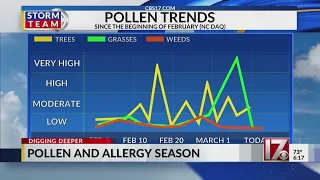 What is the pollen count in central North Carolina