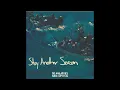 since i left you (album) by the avalanches ((continuous mix with transitions))