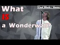 What IS A Wonderwall