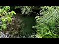 Download Lagu Lembah gunung pasaman