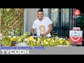 Download Lagu Amapiano | Groove Cartel Presents Tycoon