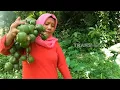 Download Lagu [FULL] MASAKAN NIKMAT ALA EMAK ENAH | ENAH BIKIN ENAK (13/03/25)