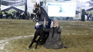 المعلم كرم سرحان و بيبرس الدبوس مهرجان البحيرة      دندنها