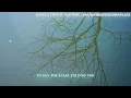 Chet Faker - i’ m into you / LYRICS