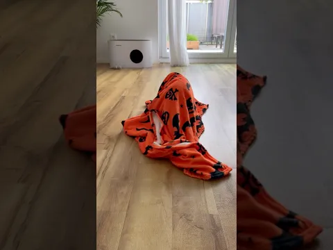 Is that an Ghost? 👻