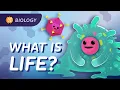 Introduction to Biology Crash Course Biology