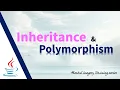 Inheritance Polymorphism