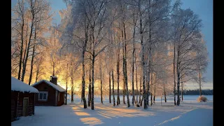 sibelius violin concerto mov 3 1904 