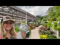 Download Lagu Cherry Valley Gardens Perennial \u0026 Shrub Tour: Planting Peter CottonTail Yarrow! A fun Head Planter!