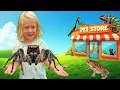 Download Lagu JUMPING SPIDER DREAM HOUSE! JuJu Builds a spider Enclosure + Pet Store Adventure for KIDS! 🕷️