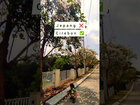 yang lagi viral di Cirebon